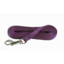 6-Foot Purple Nylon Puppy Leash